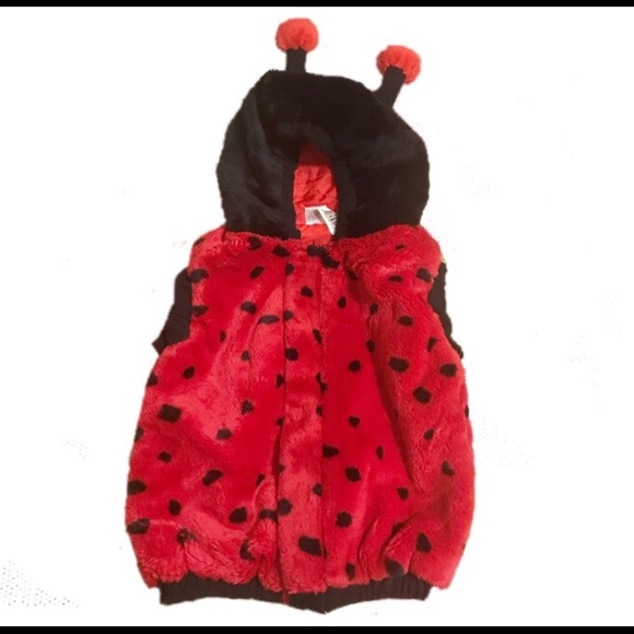 Sold!12-24 mo Baby/Toddler Ladybug Costume 🐞 - Picture 1 of 3